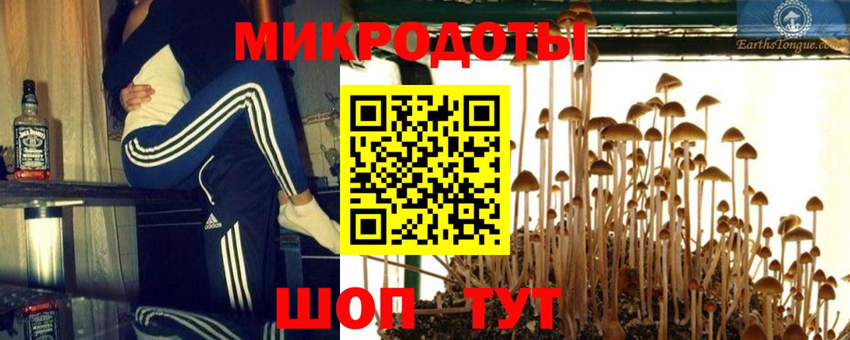 Галлюциногенные грибы Cubensis Тула